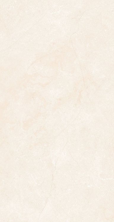 OL Marfil Matte 12 x 24